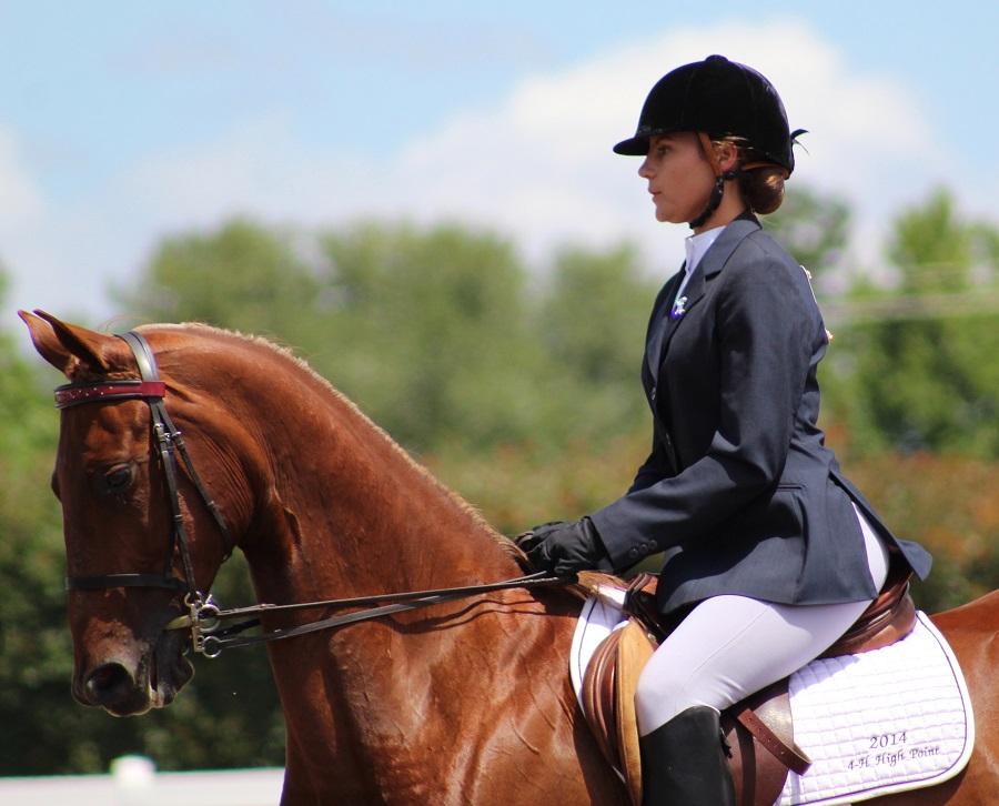 Must-Have Riding Apparel for Comfort and Protection