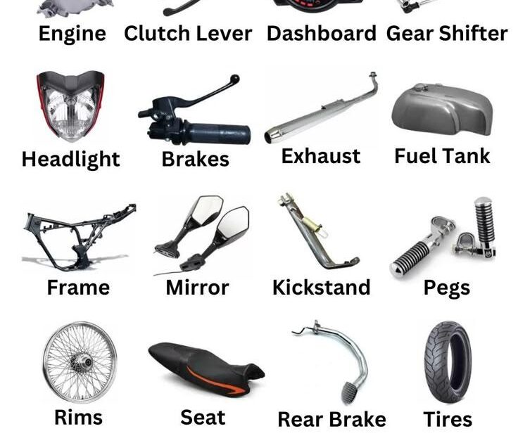 Unleash Your Ride: Essential Motorcycle Accessories for All