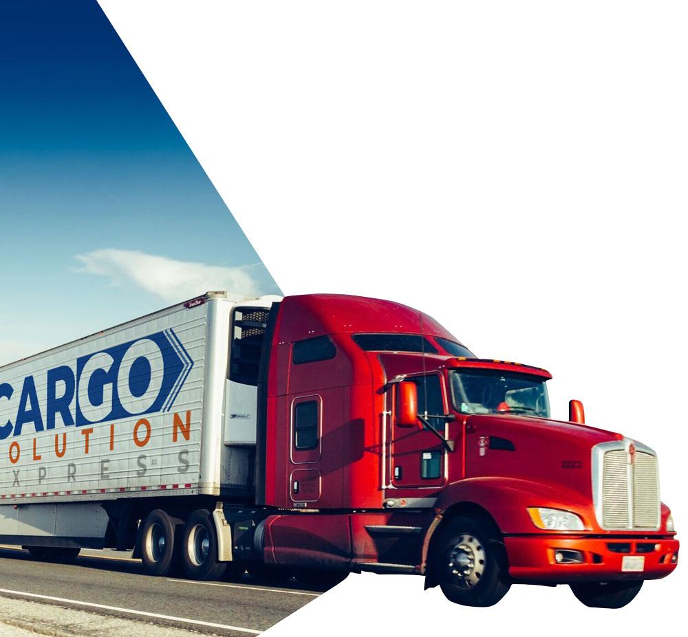Essential Cargo Solutions for Storage and convenience