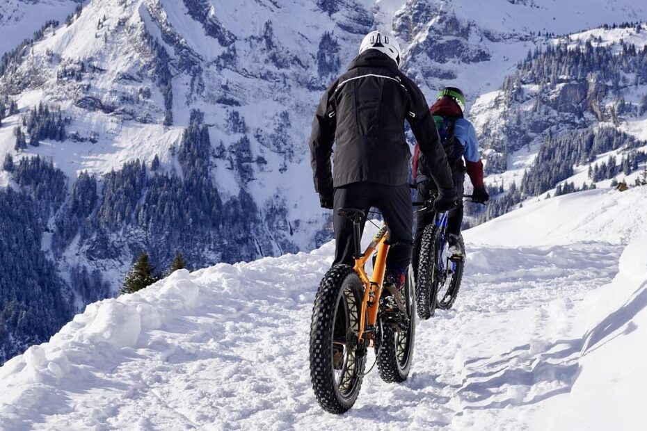 Gear Up for Adventure: Must-Have Motorcycle Accessories