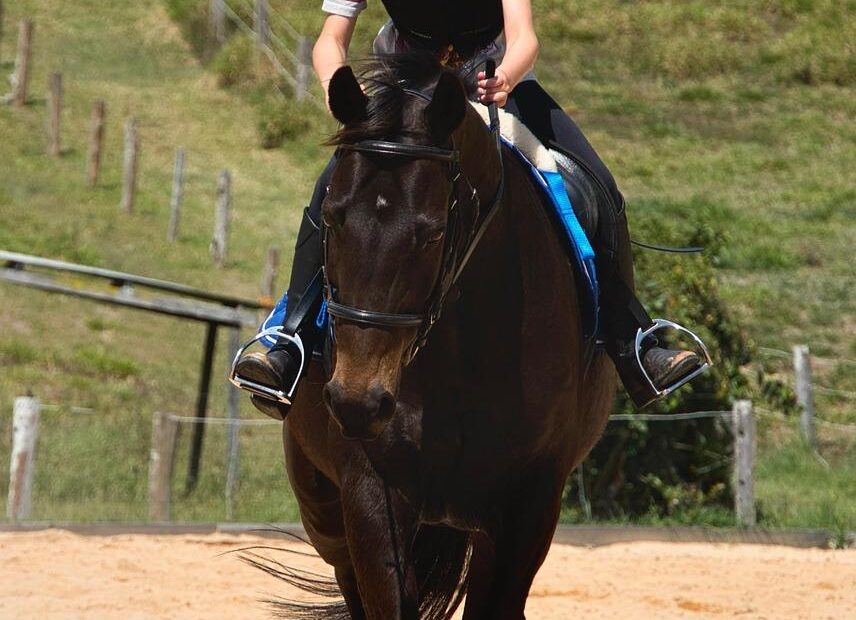 Must-Have Motorcycle Accessories for Every Rider’s Experience