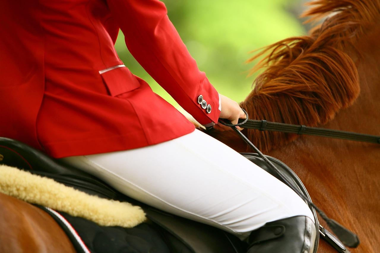 Revving Up Your Ride with High-Quality Riding Jackets