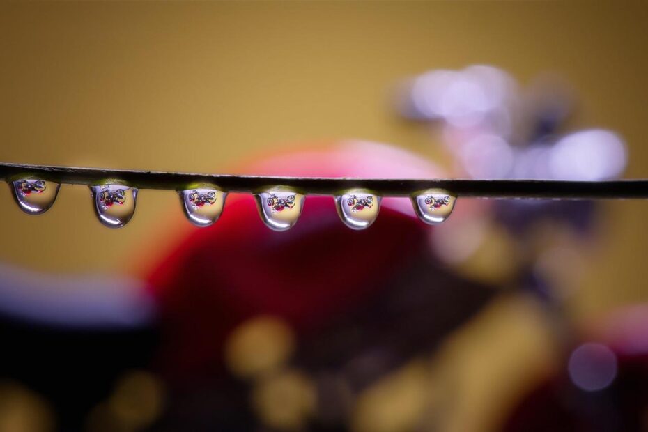 Essentials and Upgrades: Elevate Your Motorcycle Experience