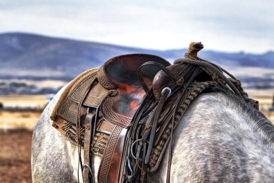 Ride in Style: Top Motorcycle Accessories for Every Enthusiast